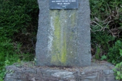 Ceiriog Memorial Institute and Museum 23