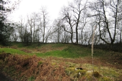 Trees mark the top of the dyke which runs alongside the footpath (April 2016)
